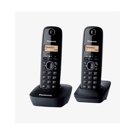 TELEPHONE SANS FIL PANASONIC KX-TG 1612 DUO SANS REPONDEUR NOIR