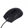 SOURIS OPTIQUE MAXLIFE MXHM-01 1000DPI