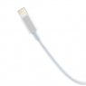 DATA CABLE LIGHTNING USB C 20W 2M BLANC