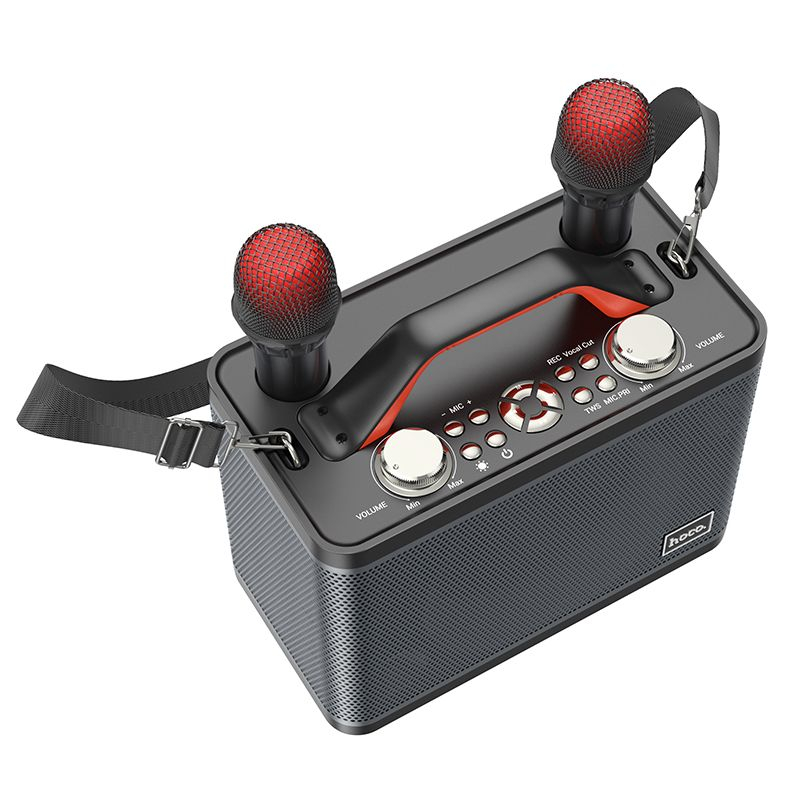 Haut-parleur Bluetooth portable avec ensemble de microphones, haut-parleur  Bluetooth rétro, machine de karaoké à