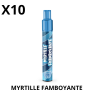 WPUFF LIQUIDEO PUFF ORIGINALE 800 PUFFS -MYRTILLE FRAMBOYANTE  X10
