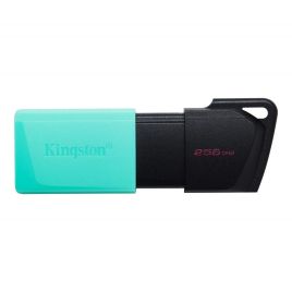 CLE USB KINGSTON 256G VERT