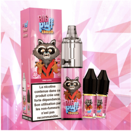 BIG PUFF 15000 PUFFS JUS DE PASTEQUE 2%