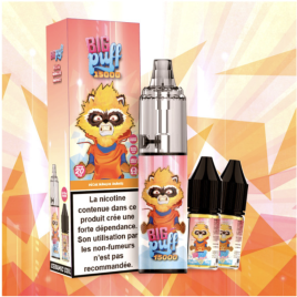 BIG PUFF 15000 PUFFS PECHE GIVREE 2%
