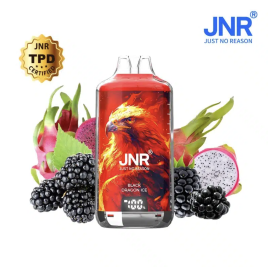 JNR FALCON X 28000 PUFFS DRAGON ICE
