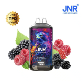 JNR FALCON X 28000 PUFFS BLACKBERRY RED RASPBERRY